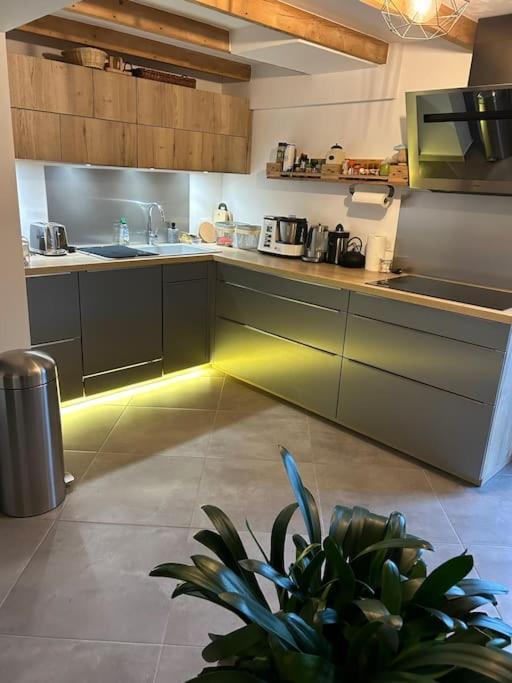 Maison Calme Proche Guebwiller Soultz-Haut-Rhin Εξωτερικό φωτογραφία